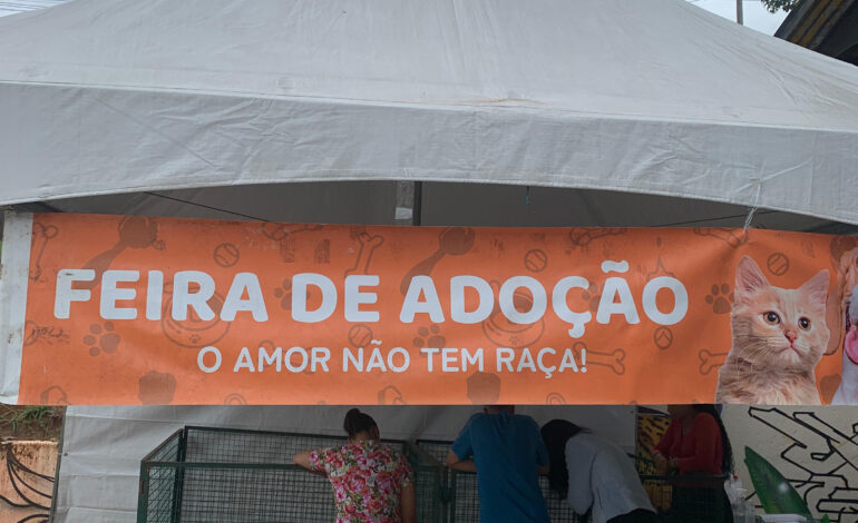 Jandira promove nova feira de adoção de animais neste sábado (07)