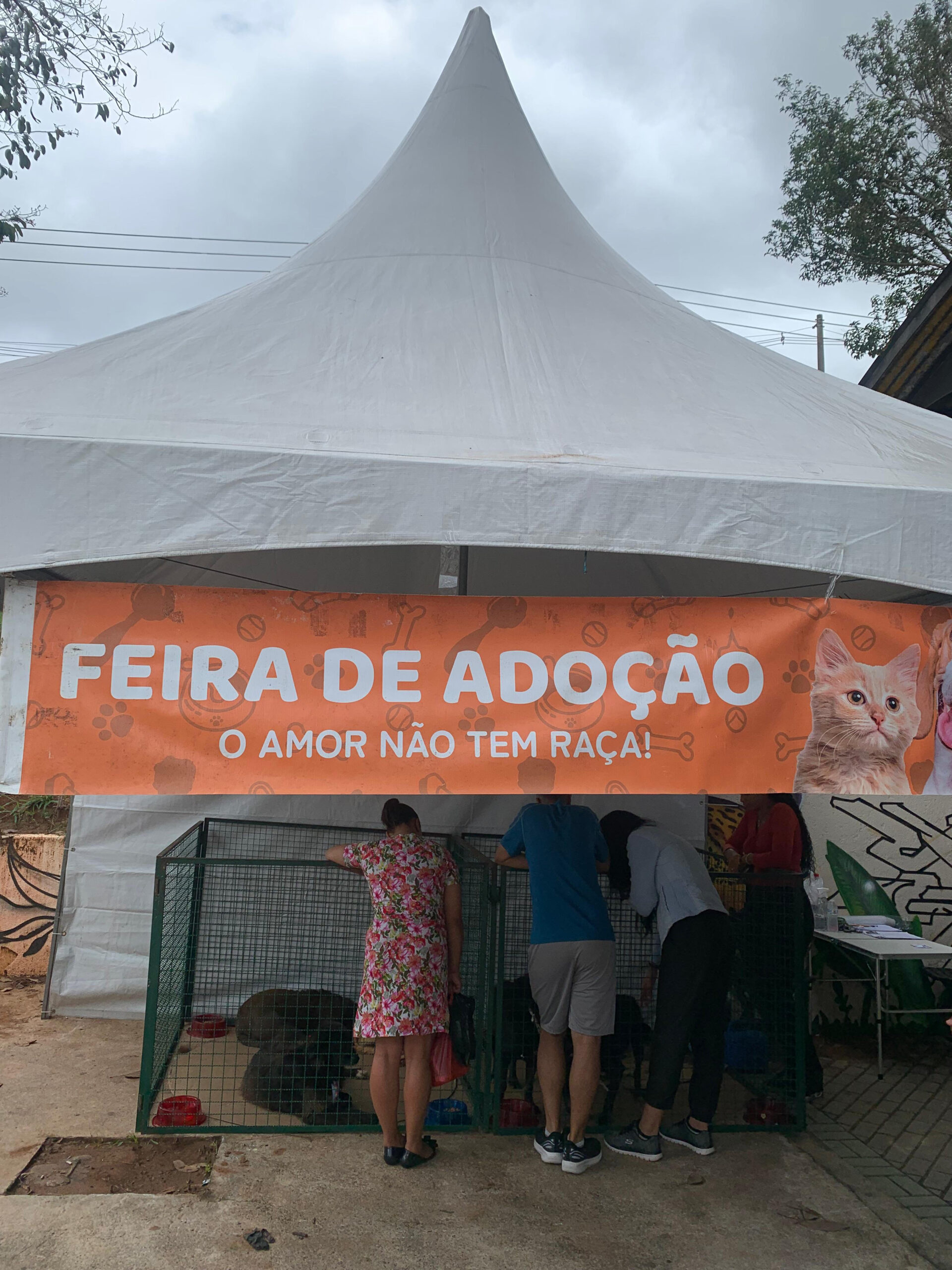Jandira promove nova feira de adoção de animais neste sábado (07)