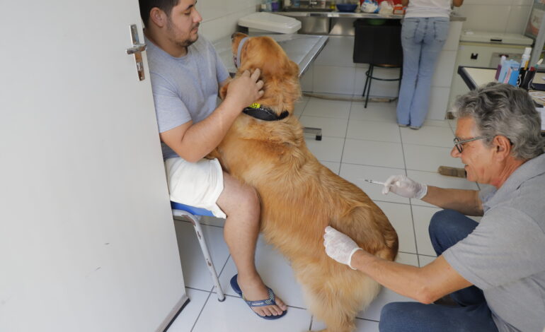 Prefeitura abre agendamento para castração gratuita de pets a partir de 7 de maio