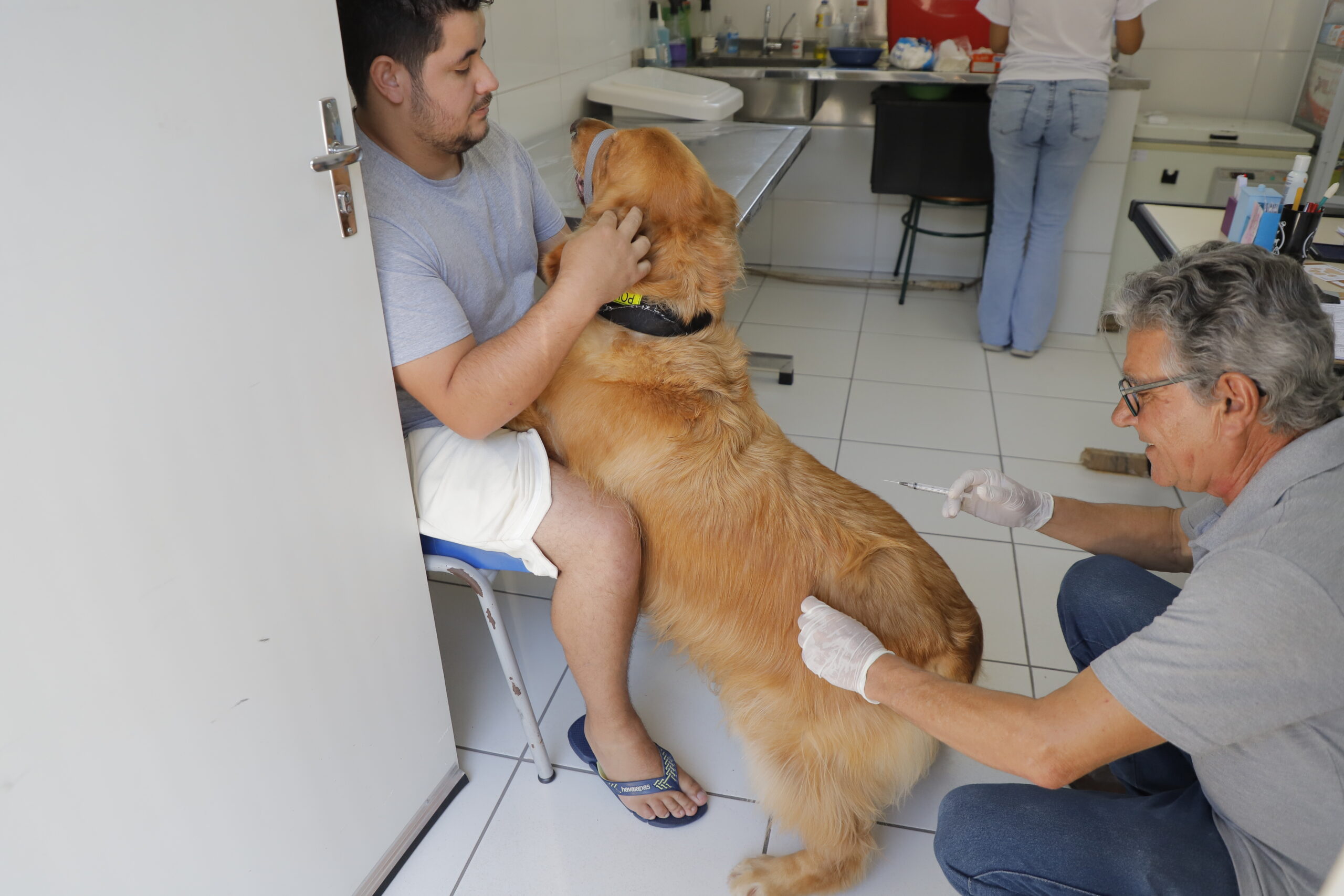 Prefeitura abre agendamento para castração gratuita de pets a partir de 7 de maio 