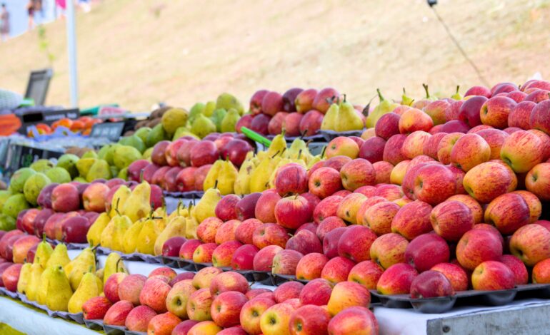 Inscrições abertas para o evento ‘Agro Cotia’ de capacitação pelo Sebrae