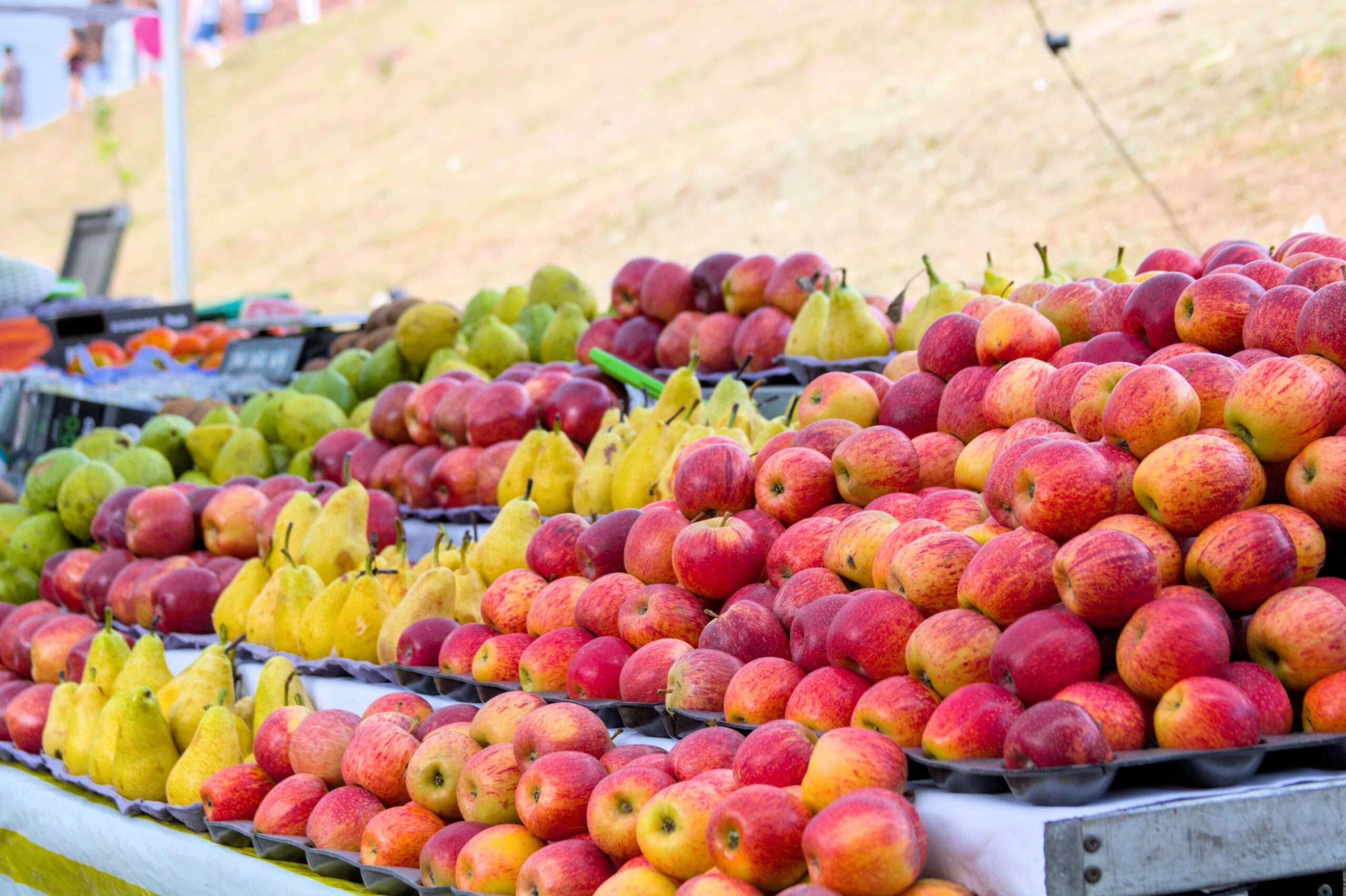 Inscrições abertas para o evento ‘Agro Cotia’ de capacitação pelo Sebrae