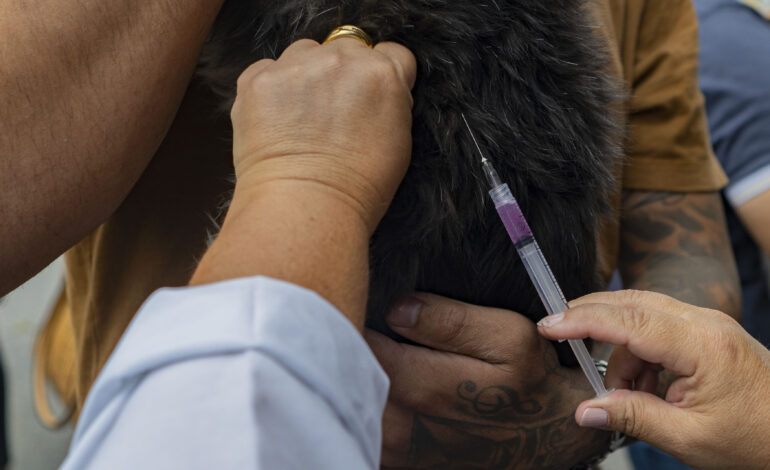 Saúde animal: Cotia realizará vacinação antirrábica nos dias 21 e 28/05