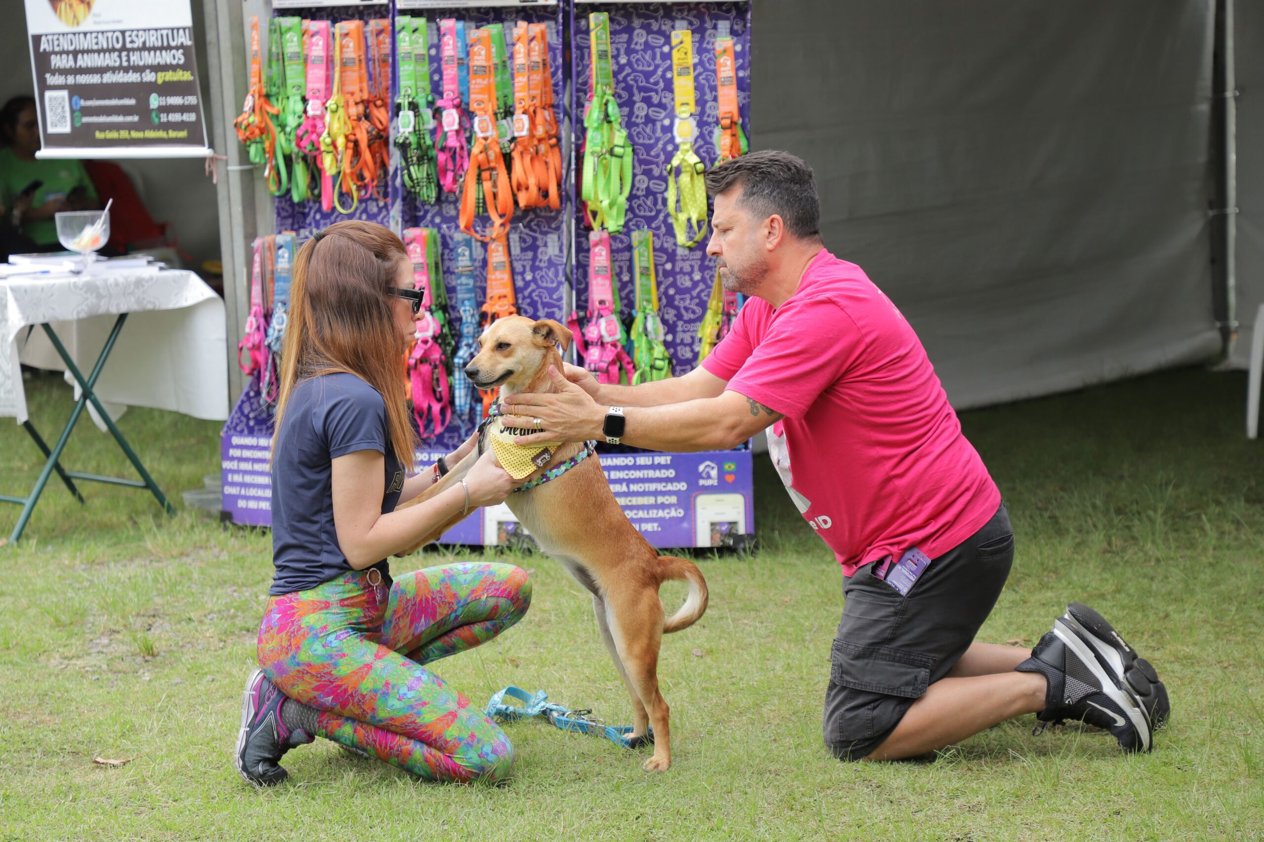 Barueri realiza mais uma edição do Dia Animal no Parque Dom José 