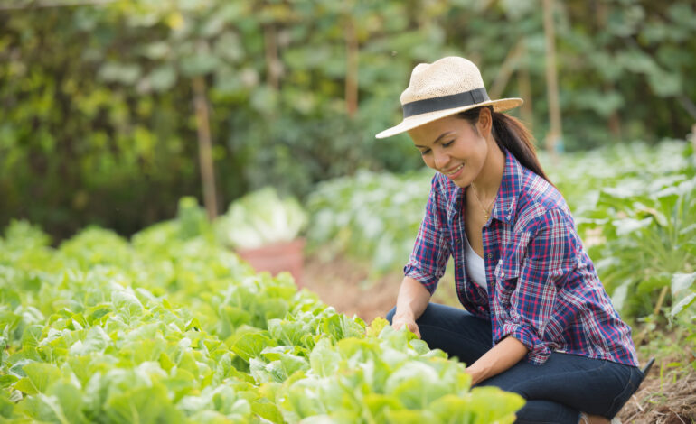Sebrae-SP abre 30 vagas para programa de inovação para produtores rurais de Osasco e região