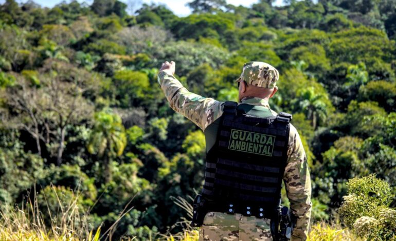 Prefeitura realiza ação de combate à ocupação irregular no bairro das Pitas