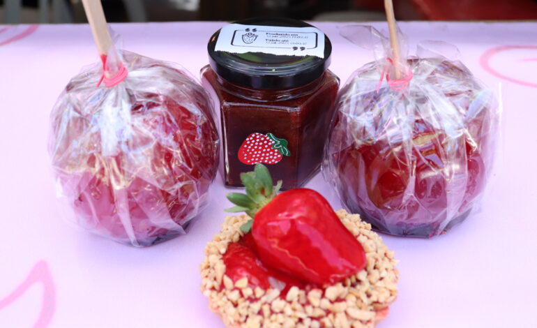 Festival do Morango ,em Itapevi, que acontecerá de 15 a 17 de Agosto, das 12h às 22h, no Parque da Cidade