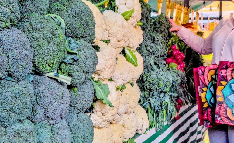 EcoFeira Granja Viana terá ‘Versão de Inverno’ no Parque Jequitibá