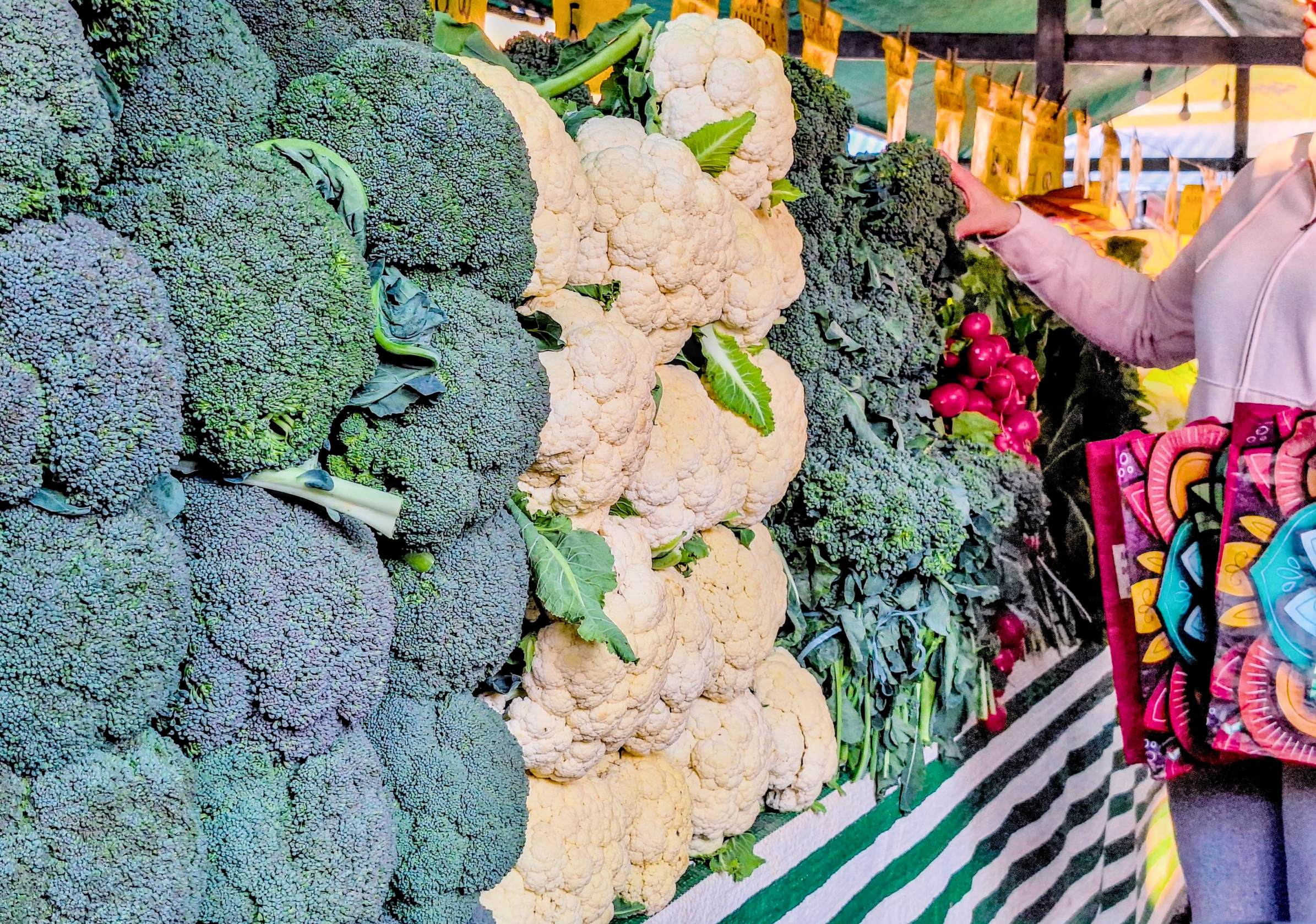 EcoFeira Granja Viana terá ‘Versão de Inverno’ no Parque Jequitibá
