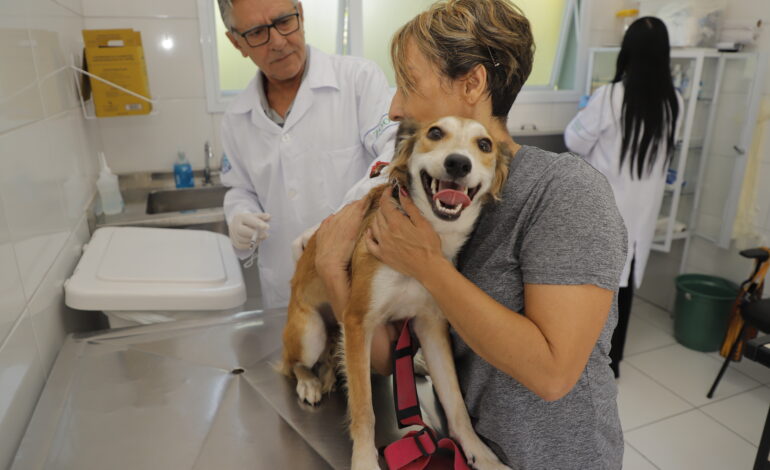 Vacinação contra raiva será realizada neste sábado (27) em Barueri
