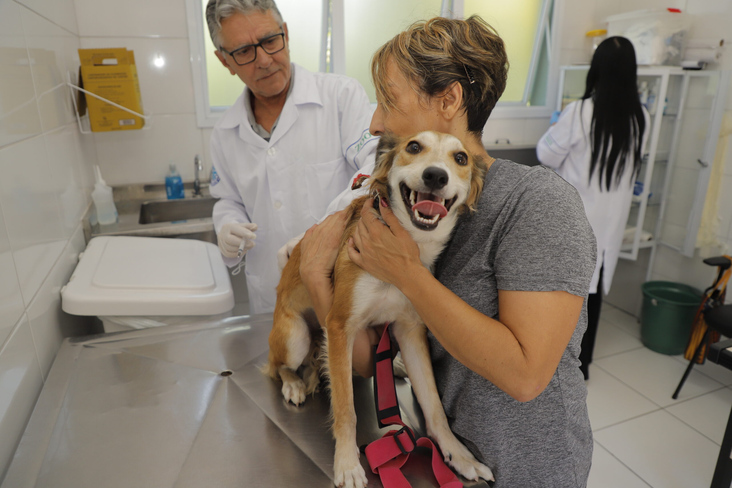 Vacinação contra raiva será realizada neste sábado (27) em Barueri