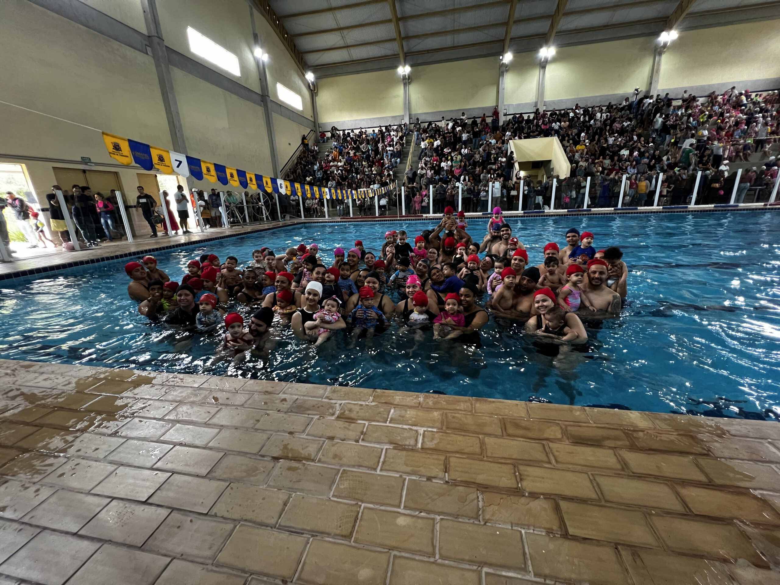 Festival de natação incentiva a prática esportiva desde a infância