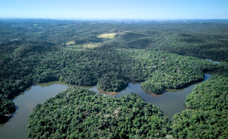 Reserva Florestal do Morro Grande agora é uma Unidade de Conservação de Proteção Integral
