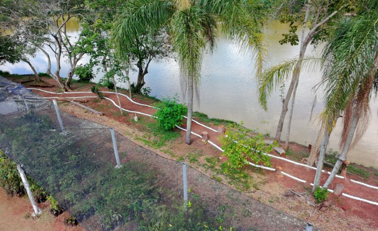 Domingo, 9, tem entrega da revitalização e de novos projetos do Viveiro Municipal