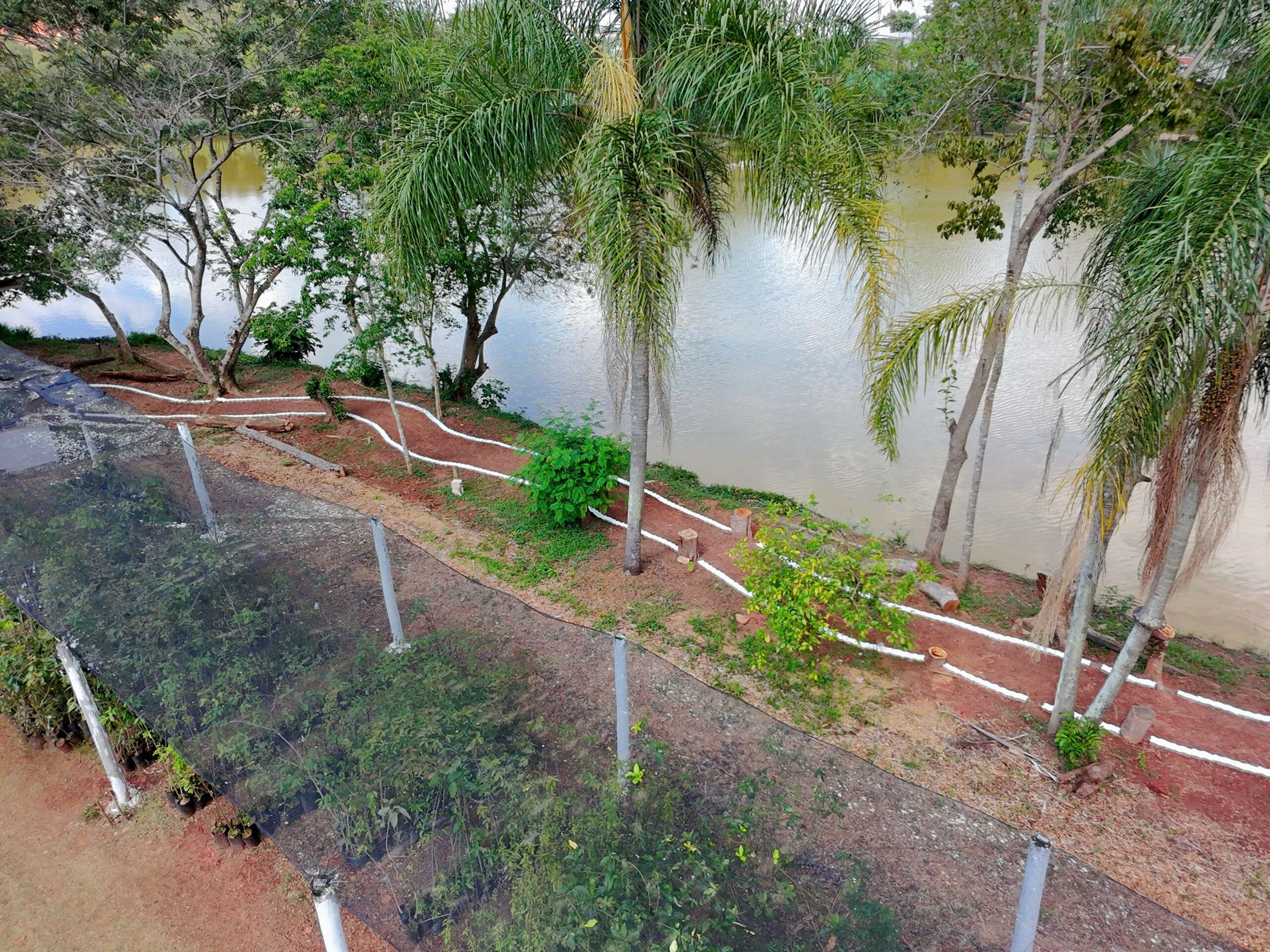 Domingo, 9, tem entrega da revitalização e de novos projetos do Viveiro Municipal