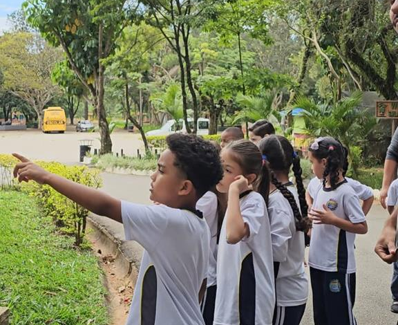 Sala Verde abre programação especial de férias no Parque Ecológico do Tietê a partir do dia 19