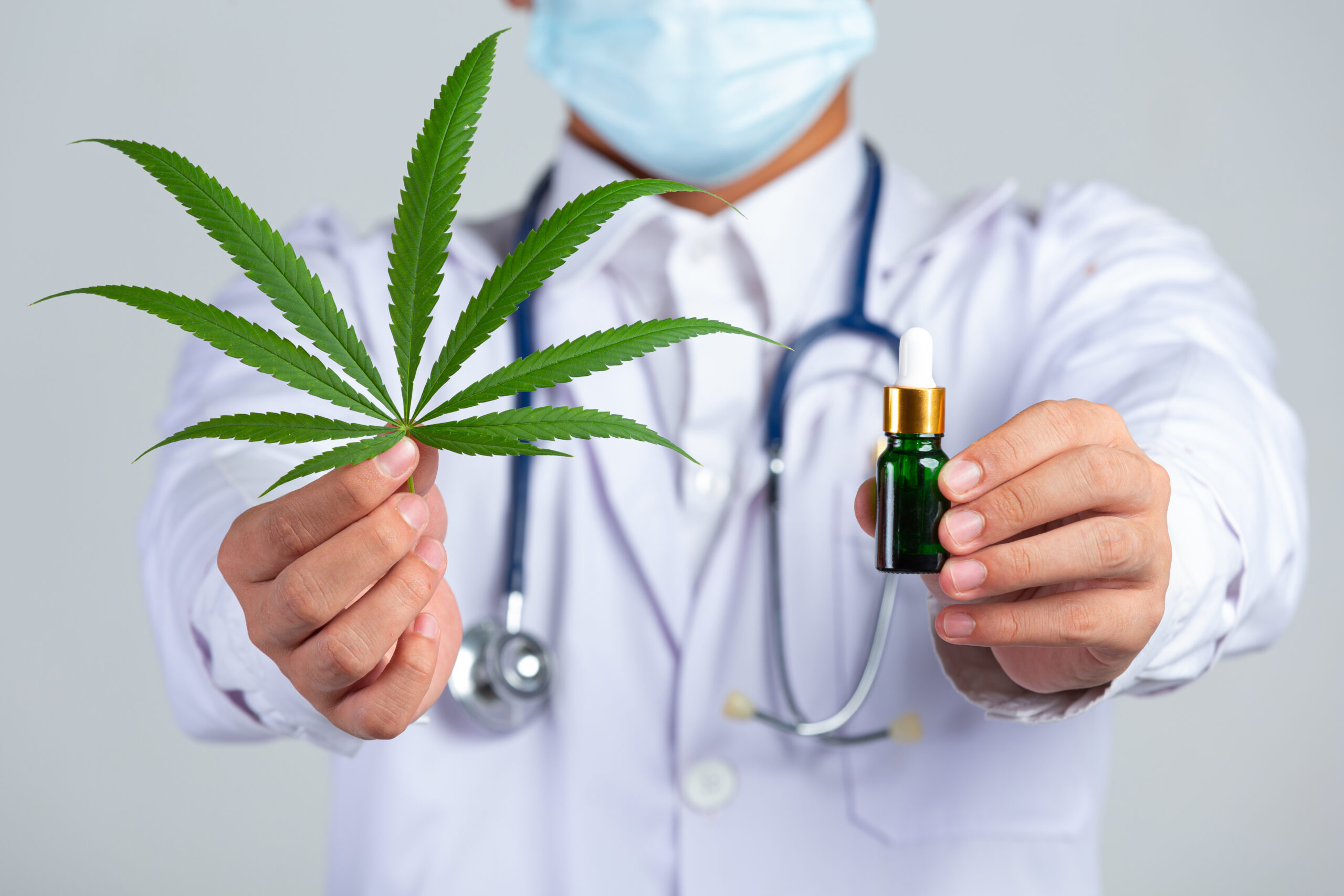 Cannabis Medicinal: Ciência, Saúde e o Direito ao Acesso no Brasil