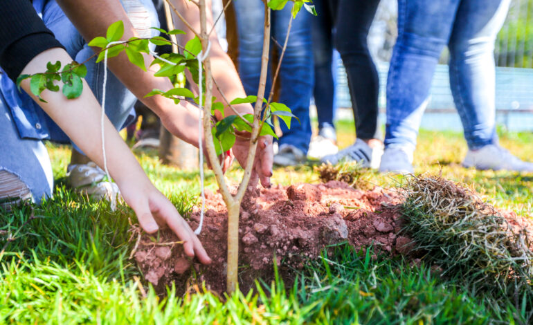 Itapevi planta 67 mudas nativas no Parque da Cidade