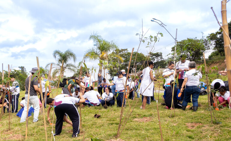 Prefeitura de Itapevi realiza plantio de mudas nativas na Cohab