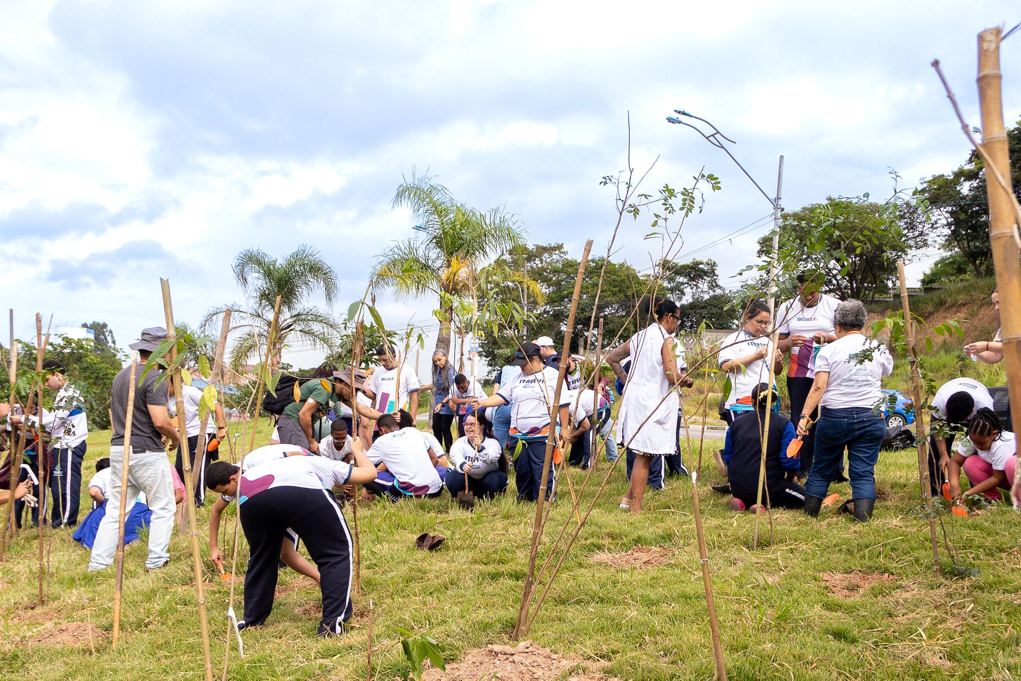 Prefeitura de Itapevi realiza plantio de mudas nativas na Cohab