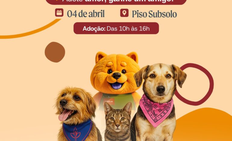 Pets podem ser adotados em nova ação em Vargem Grande Paulista neste sábado
