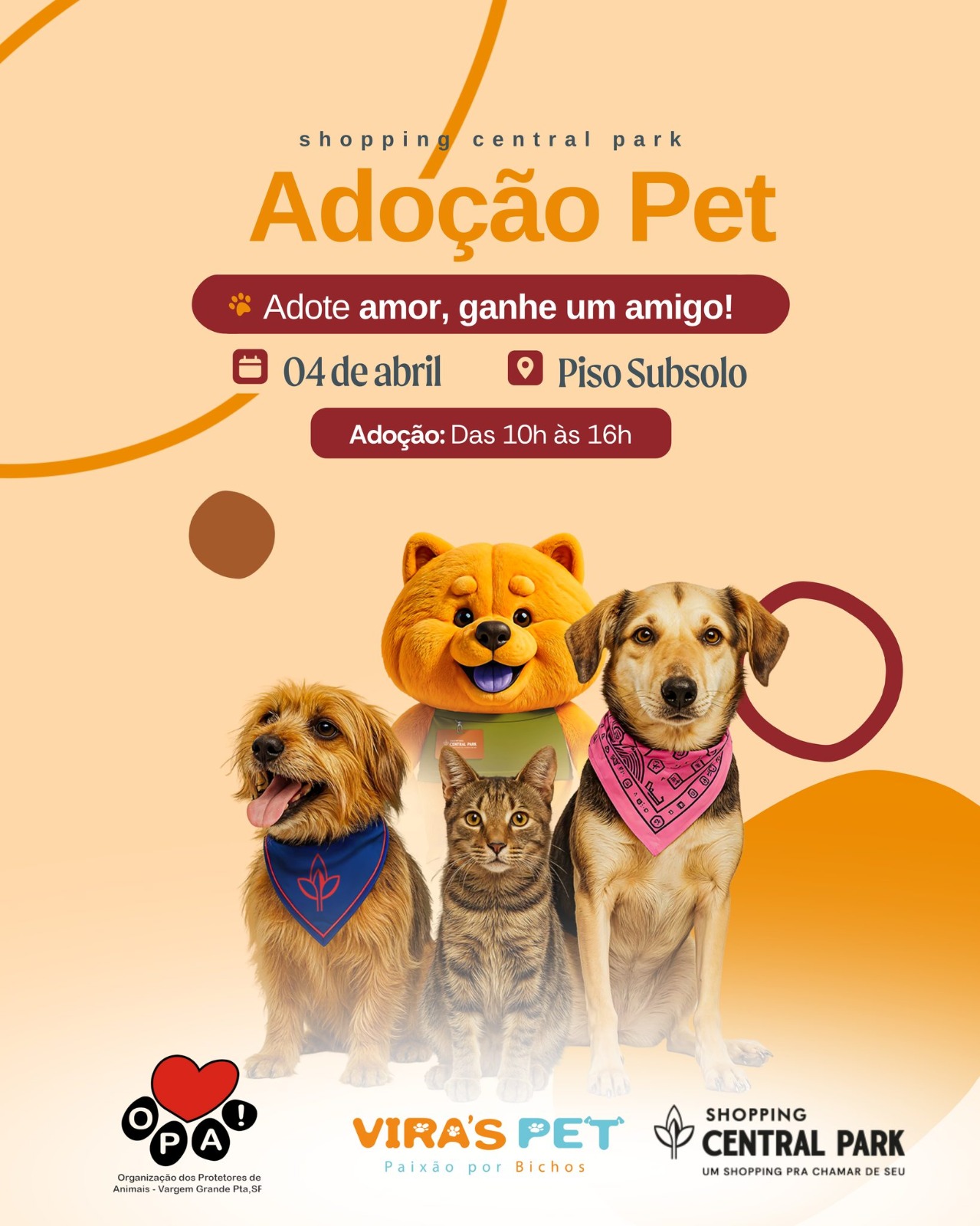 Pets podem ser adotados em nova ação em Vargem Grande Paulista neste sábado