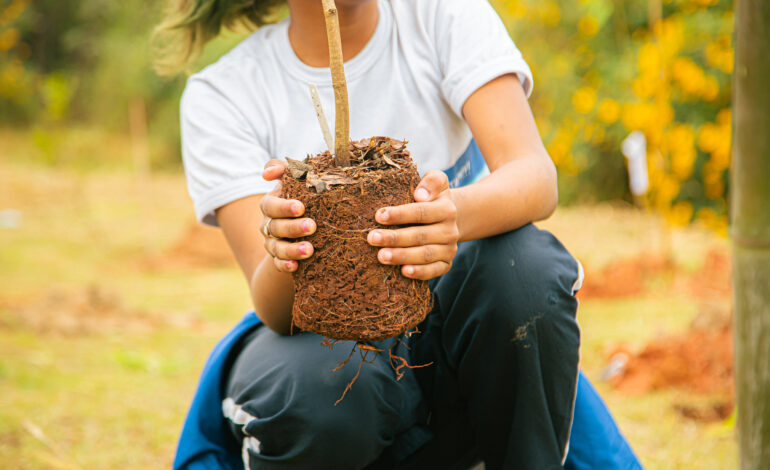 Itapevi participa do Desafio Mundial da Natureza Urbana com programação gratuita