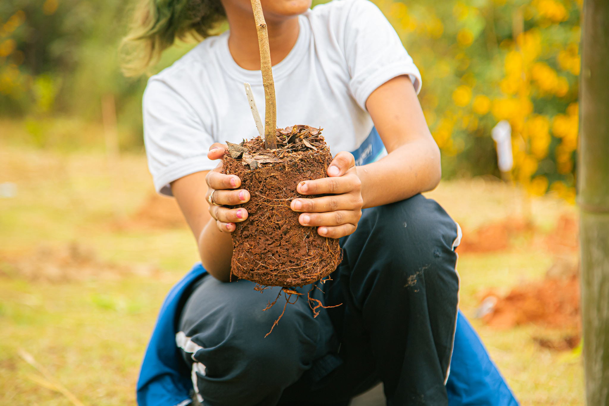 Itapevi participa do Desafio Mundial da Natureza Urbana com programação gratuita