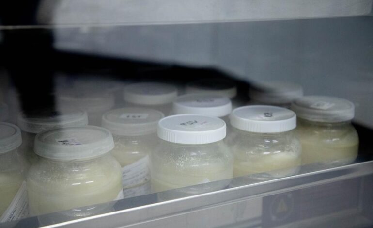 Doação de leite materno ajuda a salvar bebês prematuros em Barueri