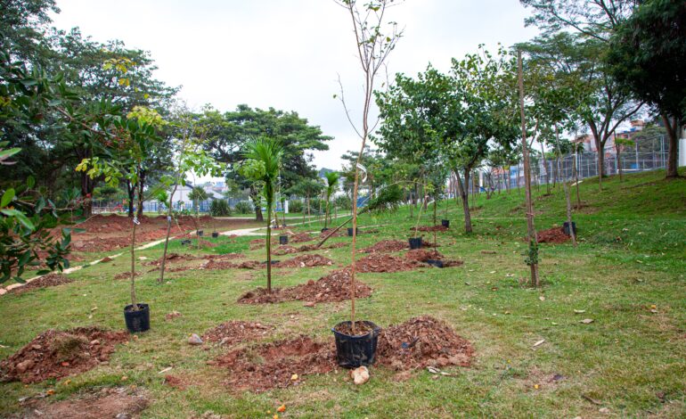 Parque do Planalto recebe 280 novas árvores
