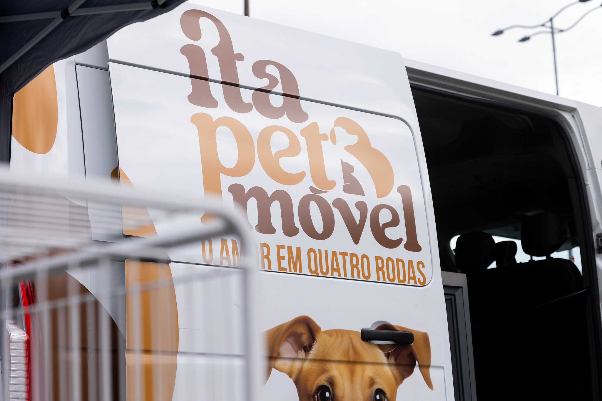 Prefeitura de Itapevi promove feira de adoção de cães e gatos neste sábado (18)