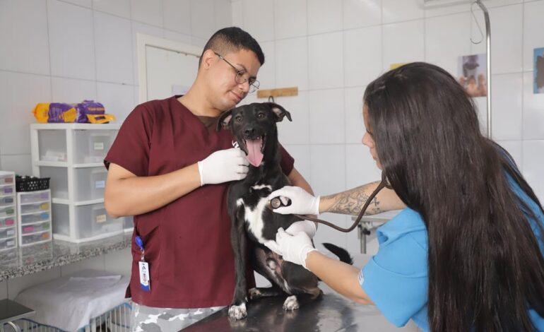 Barueri realiza atendimento veterinário gratuito neste sábado (8) no Jardim Belval