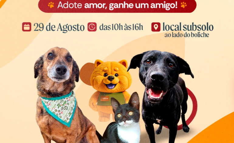 Adoção de pets acontece neste sábado em Vargem Grande Paulista