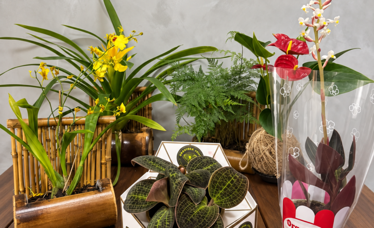 Feira Garden em Vargem Grande Paulista traz ideias e acessórios para transformar jardins