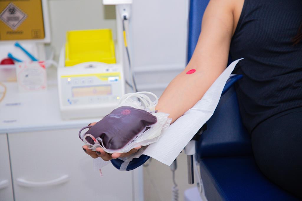 Conheça os requisitos para a doação de sangue